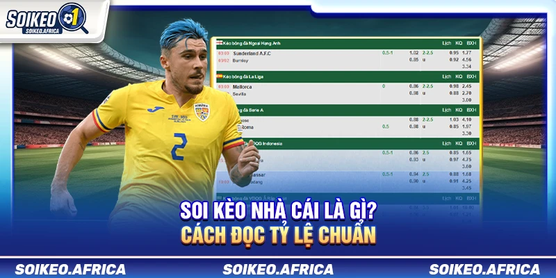 Soi Kèo Nhà Cái Là Gì? Cách Đọc Tỷ Lệ Chuẩn Soi Kèo Nhà Cái Là Gì? Cách Đọc Tỷ Lệ Chuẩn