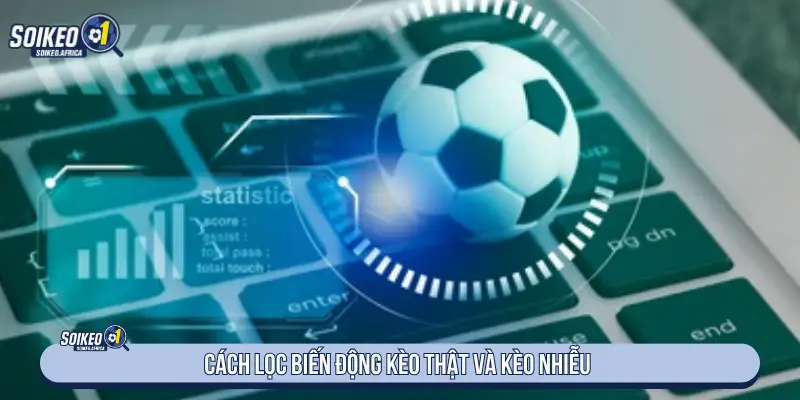 Bí Quyết Đọc Biến Động Kèo Nhà Cái Cách lọc biến động kèo thật và kèo nhiễu