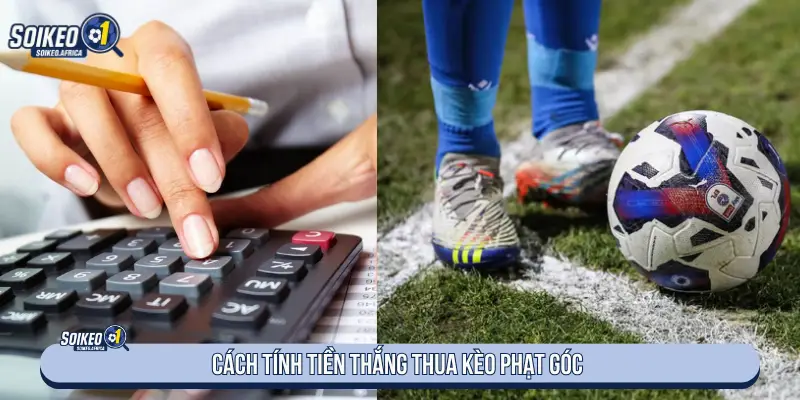 Soi Kèo Phạt Góc Là Gì? Cách Chơi Hiệu Quả Cách tính kết quả kèo phạt góc