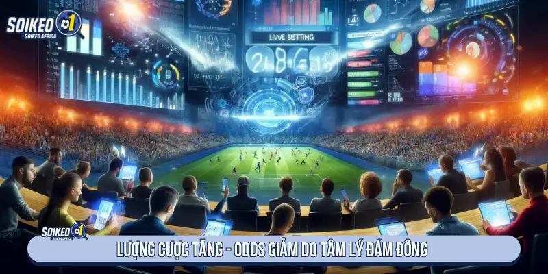 Tổng Hợp Soi Kèo Các Trận Hot Hôm Nay Lượng quan tâm tăng - Odds giảm do tâm lý đám đông