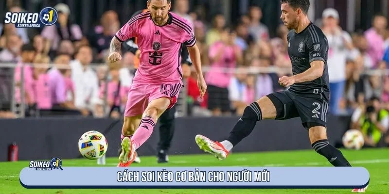 Soi Kèo Bóng Đá Là Gì? Cách Đọc Kèo Chuẩn Nhất Người đọc nên quan tâm đến đội hình ra sân khi soi kèo bóng đá