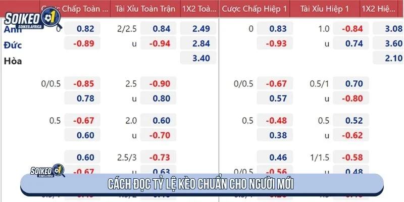 Soi Kèo Nhà Cái Là Gì? Cách Đọc Tỷ Lệ Chuẩn Tham khảo cách đọc tỷ lệ kèo chuẩn khi tìm hiểu soi kèo nhà cái là gì