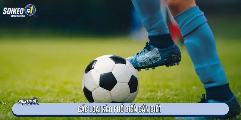 Soi Kèo Nhà Cái Là Gì? Cách Đọc Tỷ Lệ Chuẩn Tổng hợp các loại kèo phổ biến hiện nay
