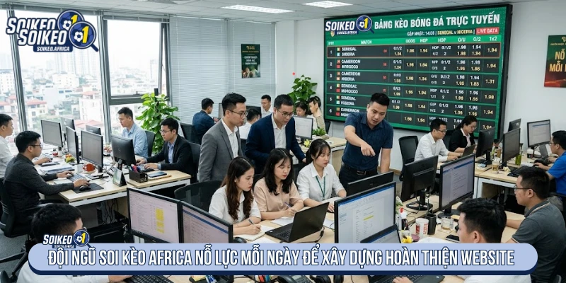 Về Chúng Tôi Đội ngũ Soi Kèo Africa nỗ lực mỗi ngày để xây dựng hoàn thiện website