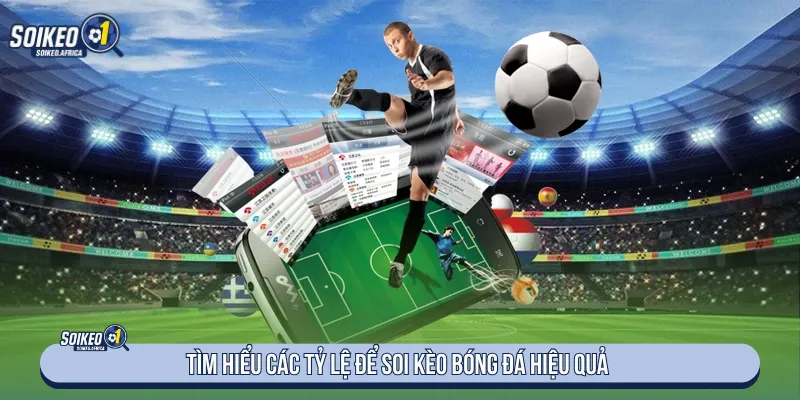 Nắm rõ các nhóm tỷ lệ để phân tích bóng đá trước trận