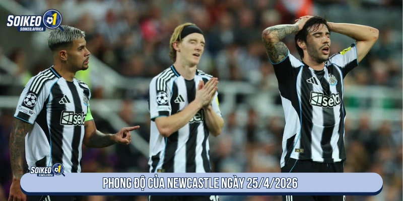 Phong độ của Newcastle ngày 25/4/2026