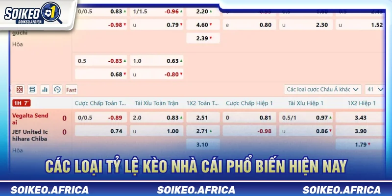 Các loại tỷ lệ kèo nhà cái phổ biến
