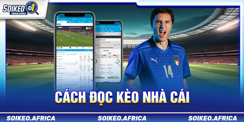 Cách Đọc Kèo Nhà Cái Dễ Hiểu Cho Người Mới Cách đọc kèo nhà cái