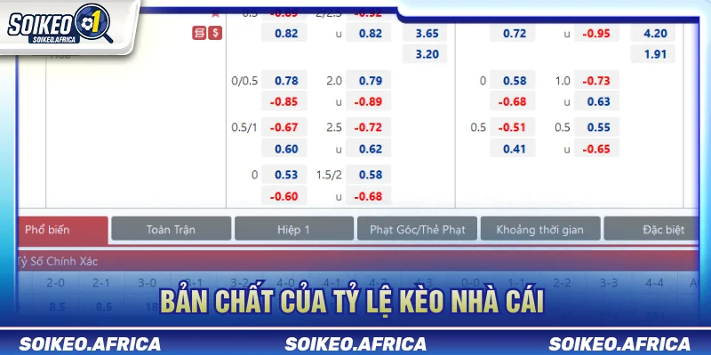 Tỷ lệ kèo nhà cái có cơ chế tính như thế nào