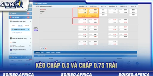 Đọc Tỷ Lệ Kèo Châu Á Trước Trận Sao Cho Đúng? Cách đọc tỷ lệ kèo châu Á trước trận cho từng loại