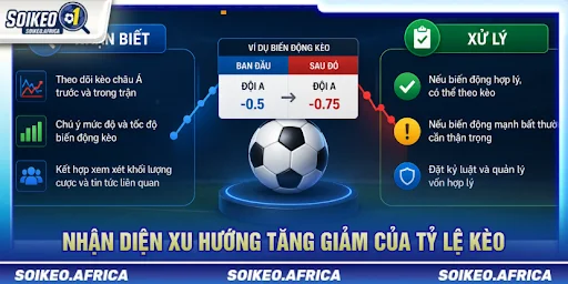 Đọc Tỷ Lệ Kèo Châu Á Trước Trận Sao Cho Đúng? Đọc tỷ lệ kèo châu Á trước trận và nhận diện xu hướng tăng giảm