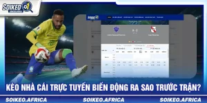Kèo nhà cái trực tuyến biến động