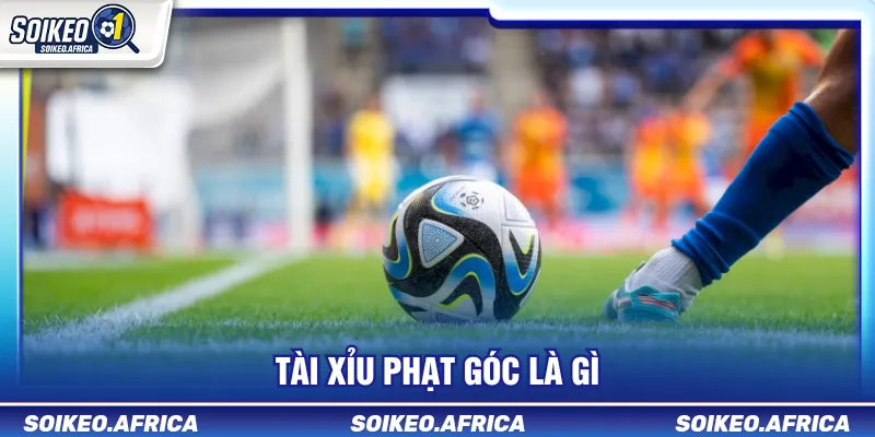Tài Xỉu Phạt Góc Là Gì? Cách Đọc Mốc Corner Tài xỉu phạt góc là gì